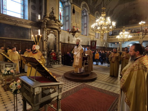 IMG_20230127_090329_resize