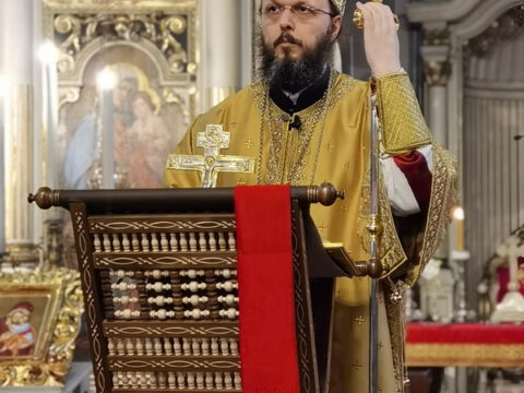 IMG_20230127_094253_resize