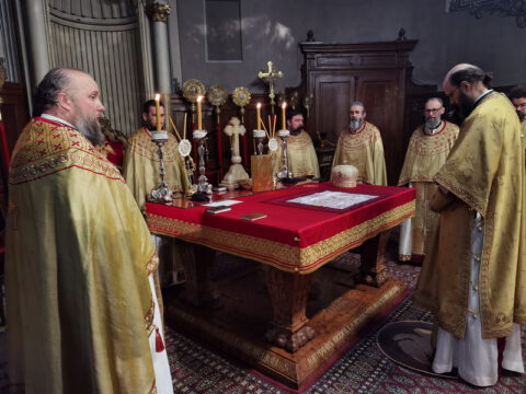 IMG_20230127_095350_resize