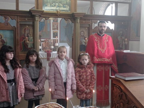 IMG_20230127_101229_resize