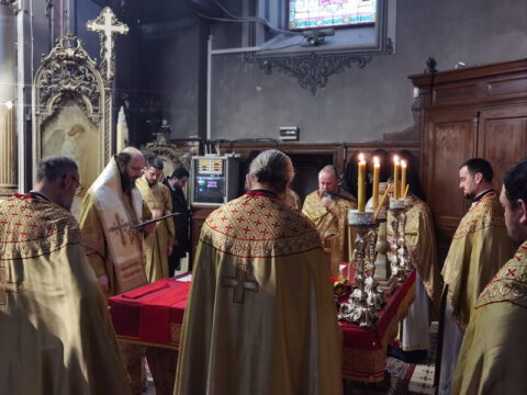 IMG_20230127_102923_resize