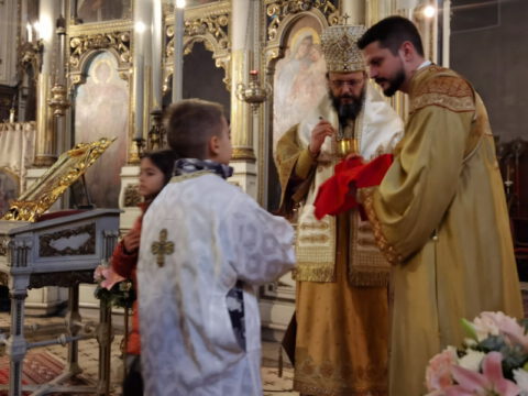 IMG_20230127_104235_resize