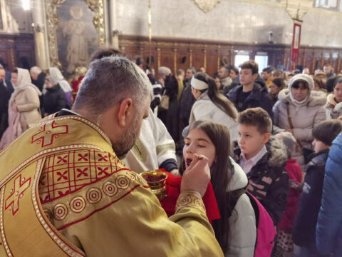 IMG_20230127_104438_resize