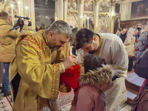 IMG_20230127_104451_resize