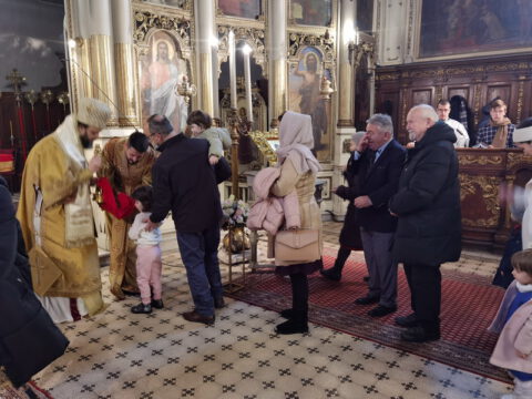 IMG_20230127_104519_resize