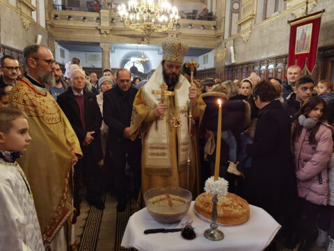 IMG_20230127_105822_resize