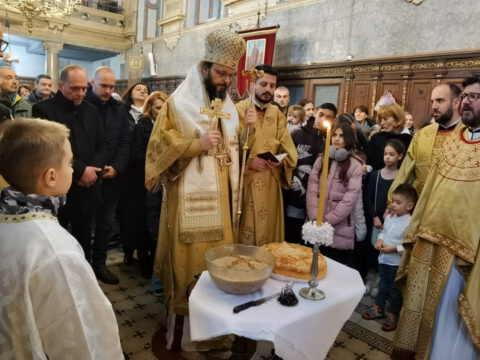 IMG_20230127_105854_resize