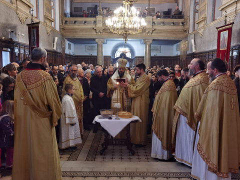 IMG_20230127_105946_resize