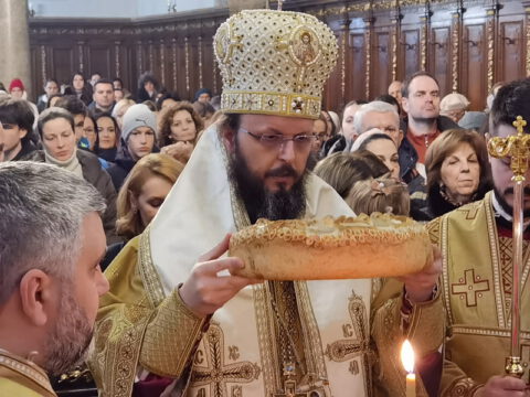 IMG_20230127_110045_resize