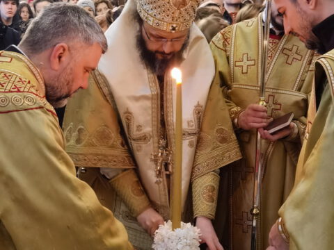 IMG_20230127_110053_resize