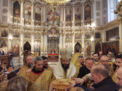 IMG_20230127_110149_resize