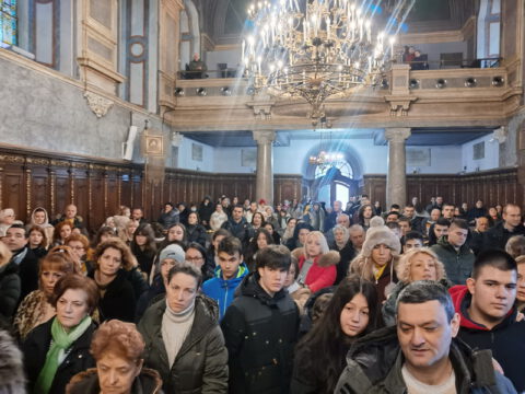 IMG_20230127_110232_resize