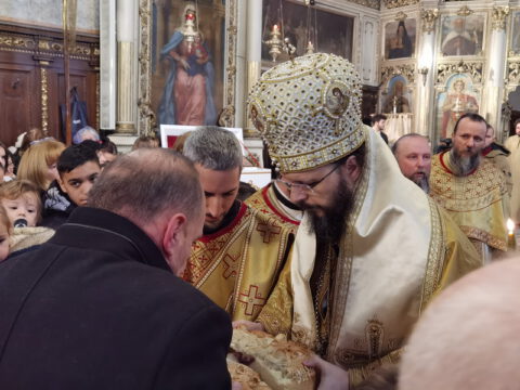 IMG_20230127_110253_resize