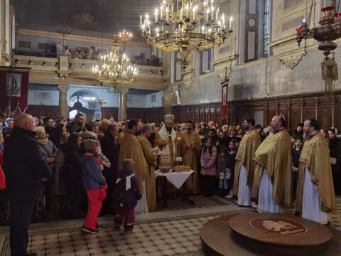 IMG_20230127_110354_resize