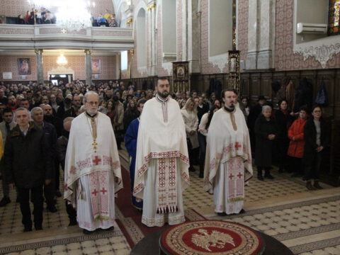 IMG_7875_resize_resize