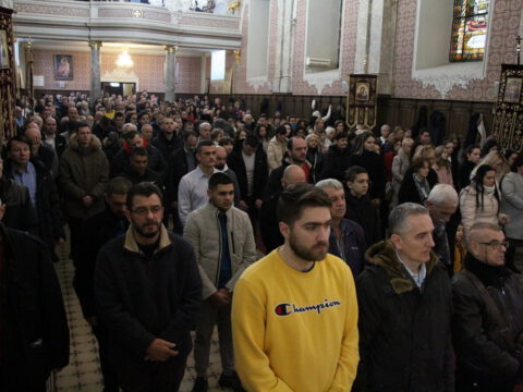 IMG_7878_resize_resize