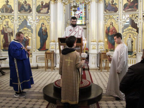 IMG_7882_resize_resize