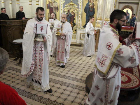 IMG_7897_resize_resize