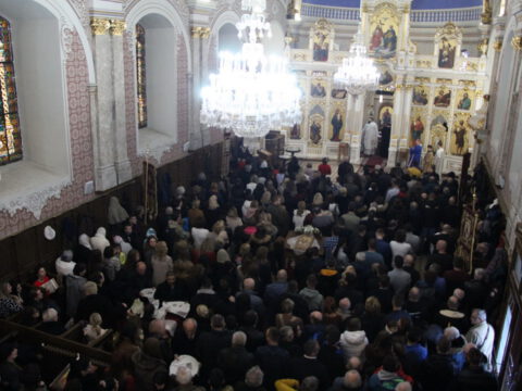 IMG_7920_resize_resize