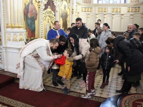 IMG_7936_resize_resize