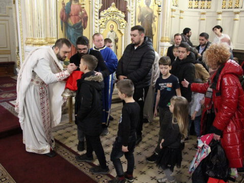 IMG_7938_resize_resize