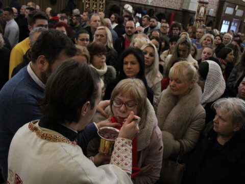 IMG_7940_resize_resize