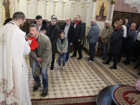 IMG_7946_resize_resize