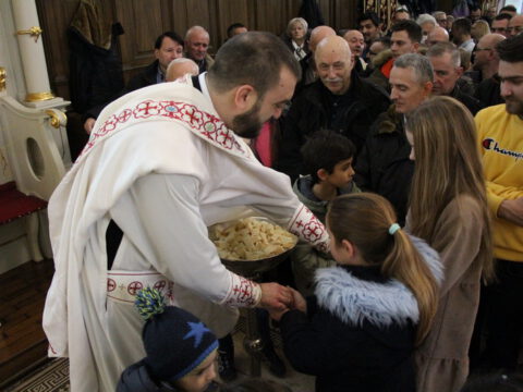 IMG_7951_resize_resize