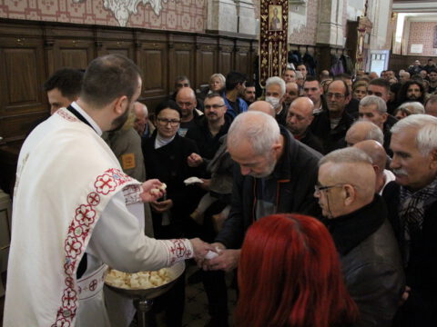 IMG_7953_resize_resize