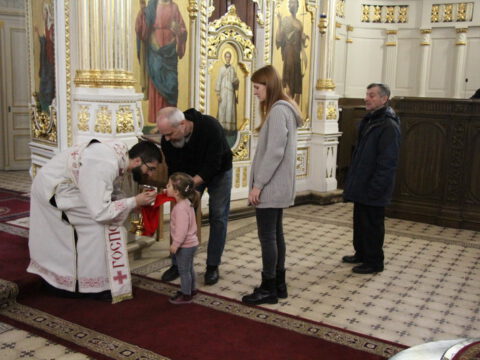 IMG_8211_resize_resize