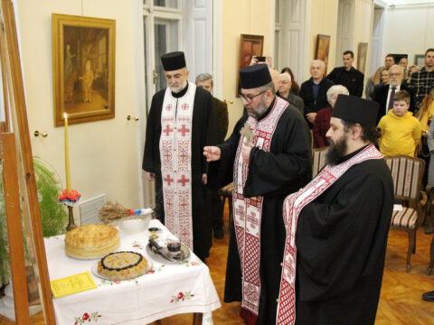 IMG_8232_resize_resize