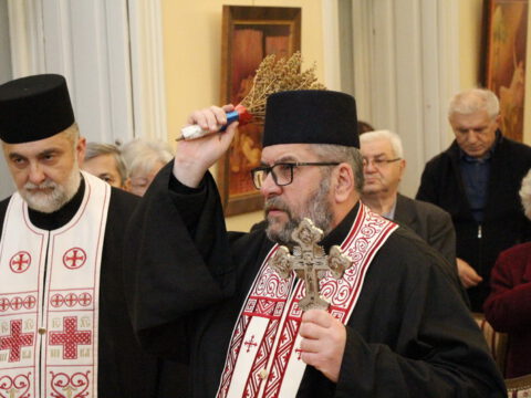 IMG_8247_resize_resize