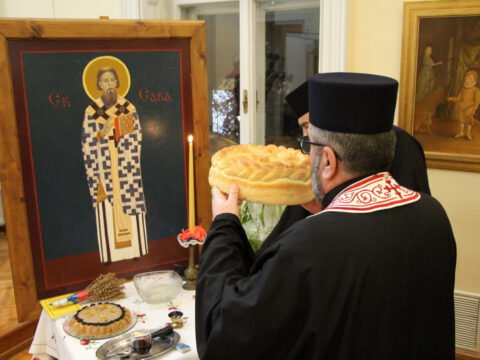 IMG_8256_resize_resize