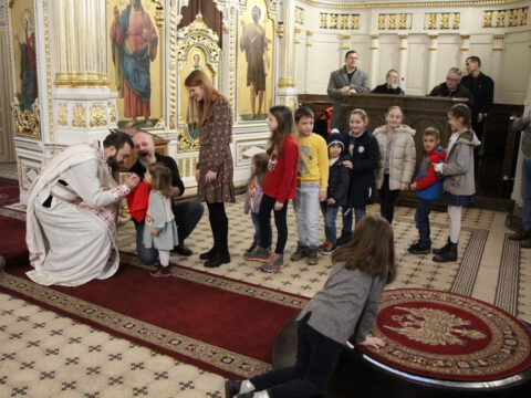 IMG_8441_resize_resize