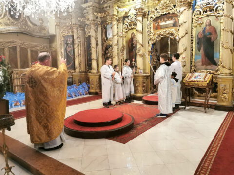 Свети Сава Госпођинци (10)_resize