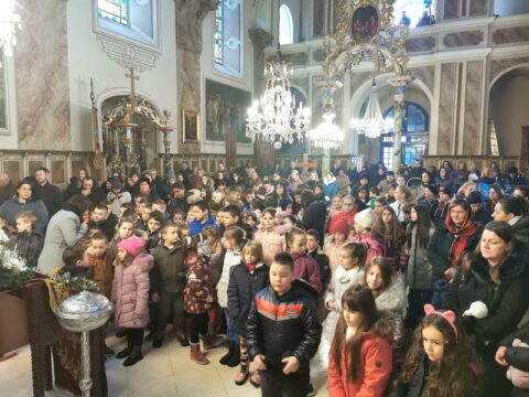 Свети Сава Госпођинци (12)_resize