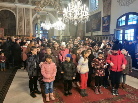 Свети Сава Госпођинци (15)_resize