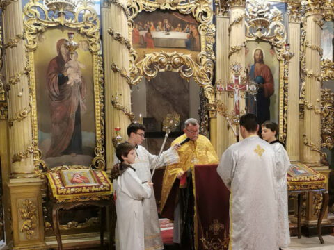 Свети Сава Госпођинци (5)_resize