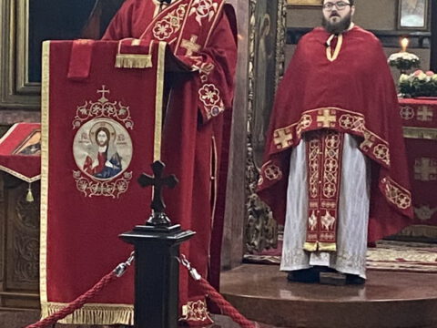 Свети Сава Жабаљ (10)_resize