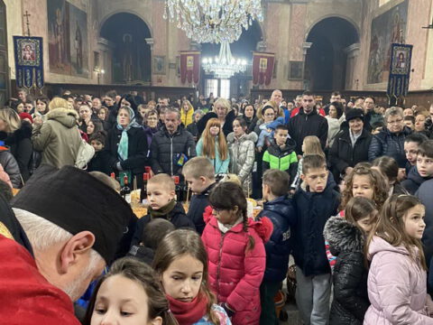 Свети Сава Жабаљ (12)_resize