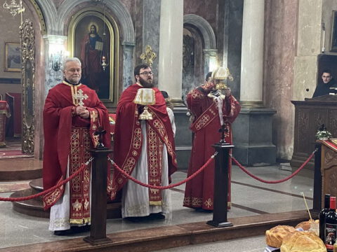 Свети Сава Жабаљ (16)_resize