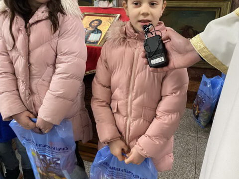 Свети Сава Жабаљ (6)_resize