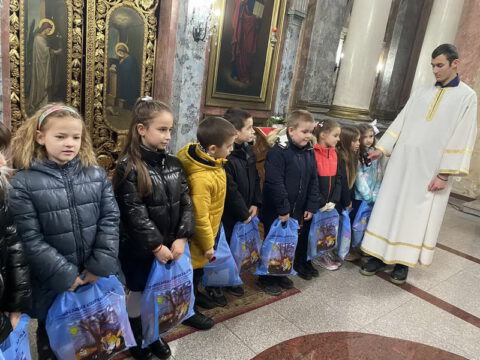 Свети Сава Жабаљ (7)_resize