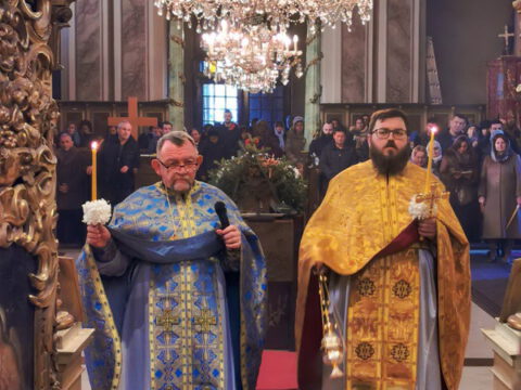 помен Госпођинци (6)_resize