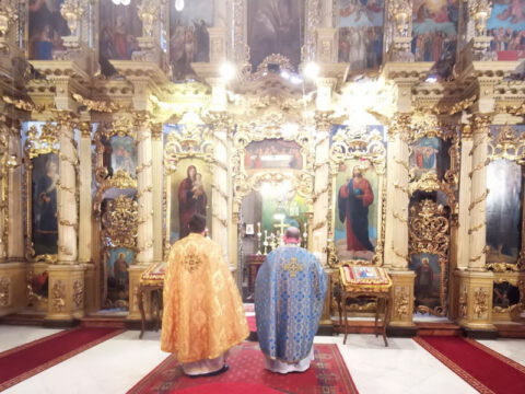 помен Госпођинци (7)_resize