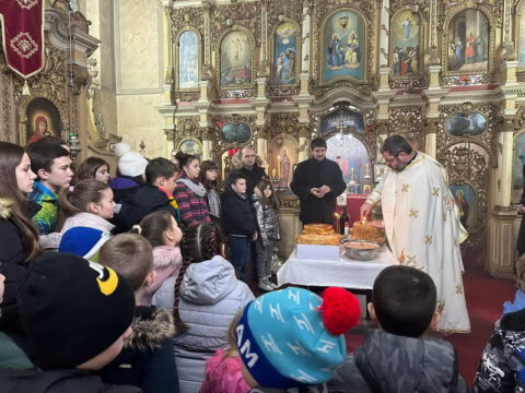 viber_slika_2023-01-27_19-32-52-298_resize