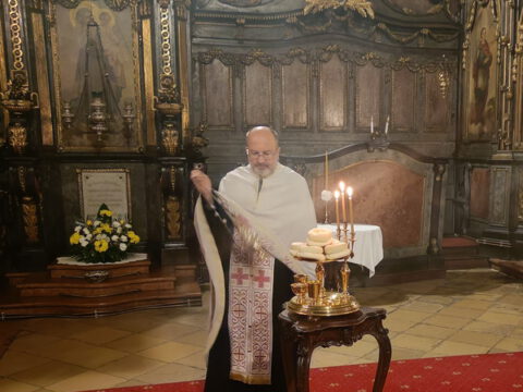 IMG_20230211_225610_resize