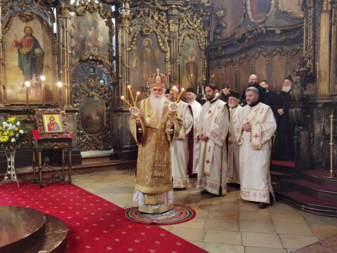 IMG_20230212_084642_resize