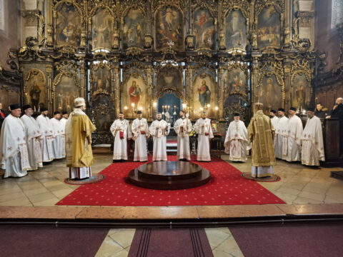 IMG_20230212_084739_resize