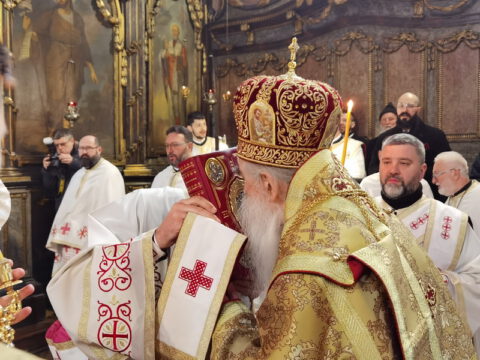 IMG_20230212_090214_resize